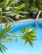 במה לבחור כשבוחרים ריצוף?