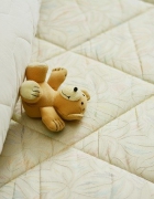 חקירות אישיות וכלכליות